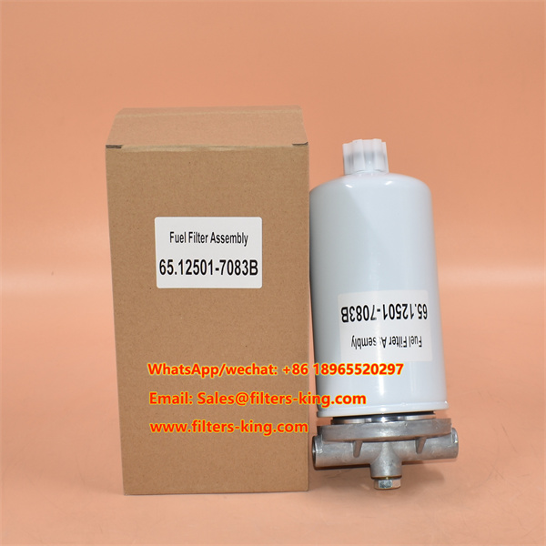 Conjunto de filtro de combustível 65.12501-7083B para Doosan