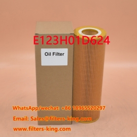 Filtro de óleo E123H01D624