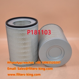 Filtro de ar P181103