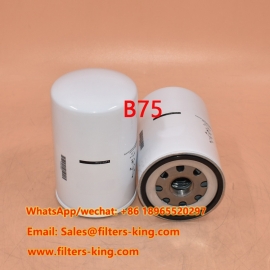 Filtro de óleo B75