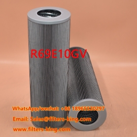 Filtro Hidráulico R69E10GV