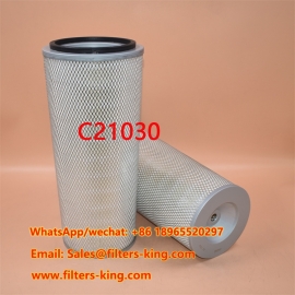Filtro de Ar C21030