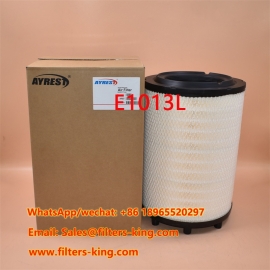Filtro de ar E1013L