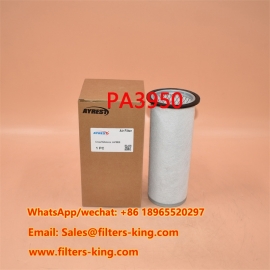 Filtro de ar PA3950