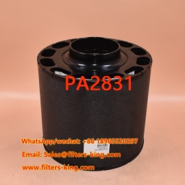 Filtro de ar PA2831