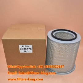 3836478 Filtro de ar