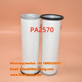 Filtro de ar PA2570