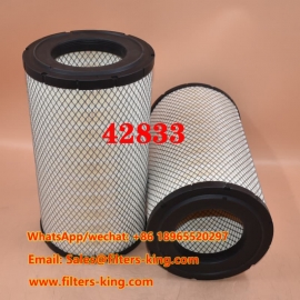 42833 Filtro de Ar