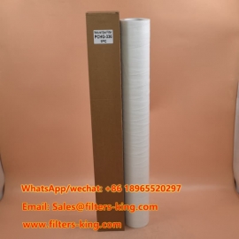 Filtro de gás natural PCHG-336