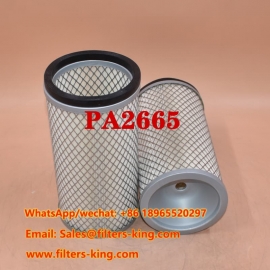 Filtro de ar PA2665