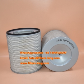 Filtro de ar P181000