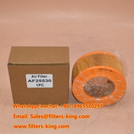 Filtro de ar AF25530