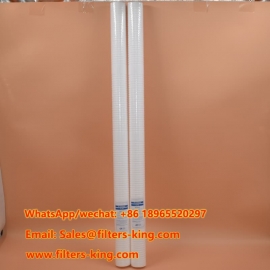 RT40B16G20CA Filtro de sedimentos PP