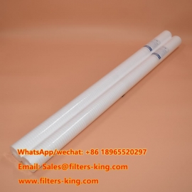 Filtro de sedimentos PP RT40Y16G20CA