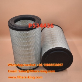 Filtro de Ar P534436