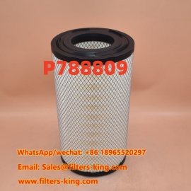 Filtro de ar P788809