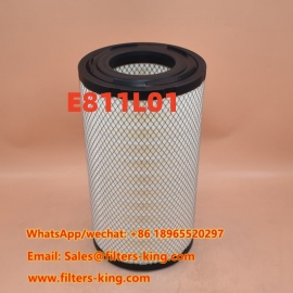 Filtro de ar E811L01